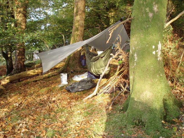 Mr. Mocks Double Mock vs. Gold Armour XL Double: Which Budget Camping Hammock Is Worth Your Money?