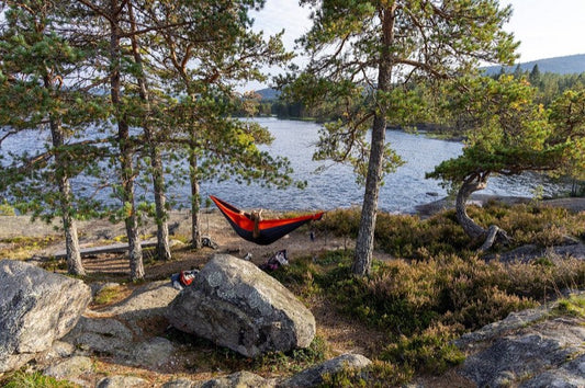 The Ultimate Budget Camping Hammock Showdown: Mr. Mocks Double Mock vs. Gold Armour, Wise Owl, Onewind, ENO, and Covacure